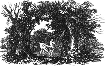 Young deer through trees forming arch, published size 4.6cm wide by 3.75cm high.