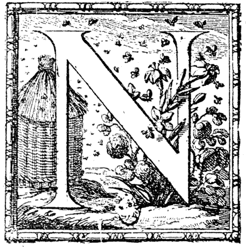 Figure 69.--Letter N, by Abraham Bosse, 17th century French artist. From Henri Bouchot 'The Printed Book' (1887), page 151, published size in Bouchot 3.9 cm wide by 4 cm high.